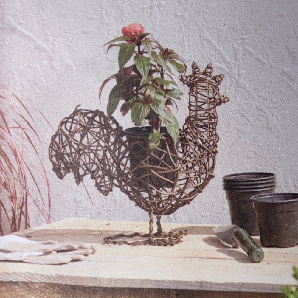Sonoma Farmhouse Retreat Outdoor Chicken Planter 14x14 Inch